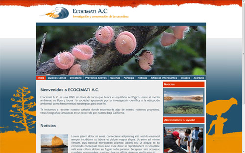 eco